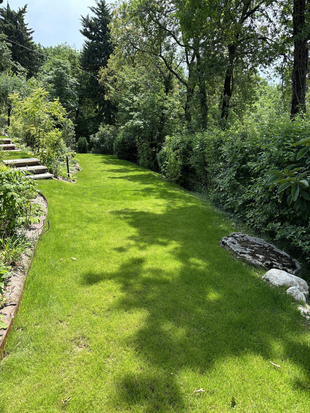 Progettazione e realizzazione giardino privato a Lago di Garda - TreeValle