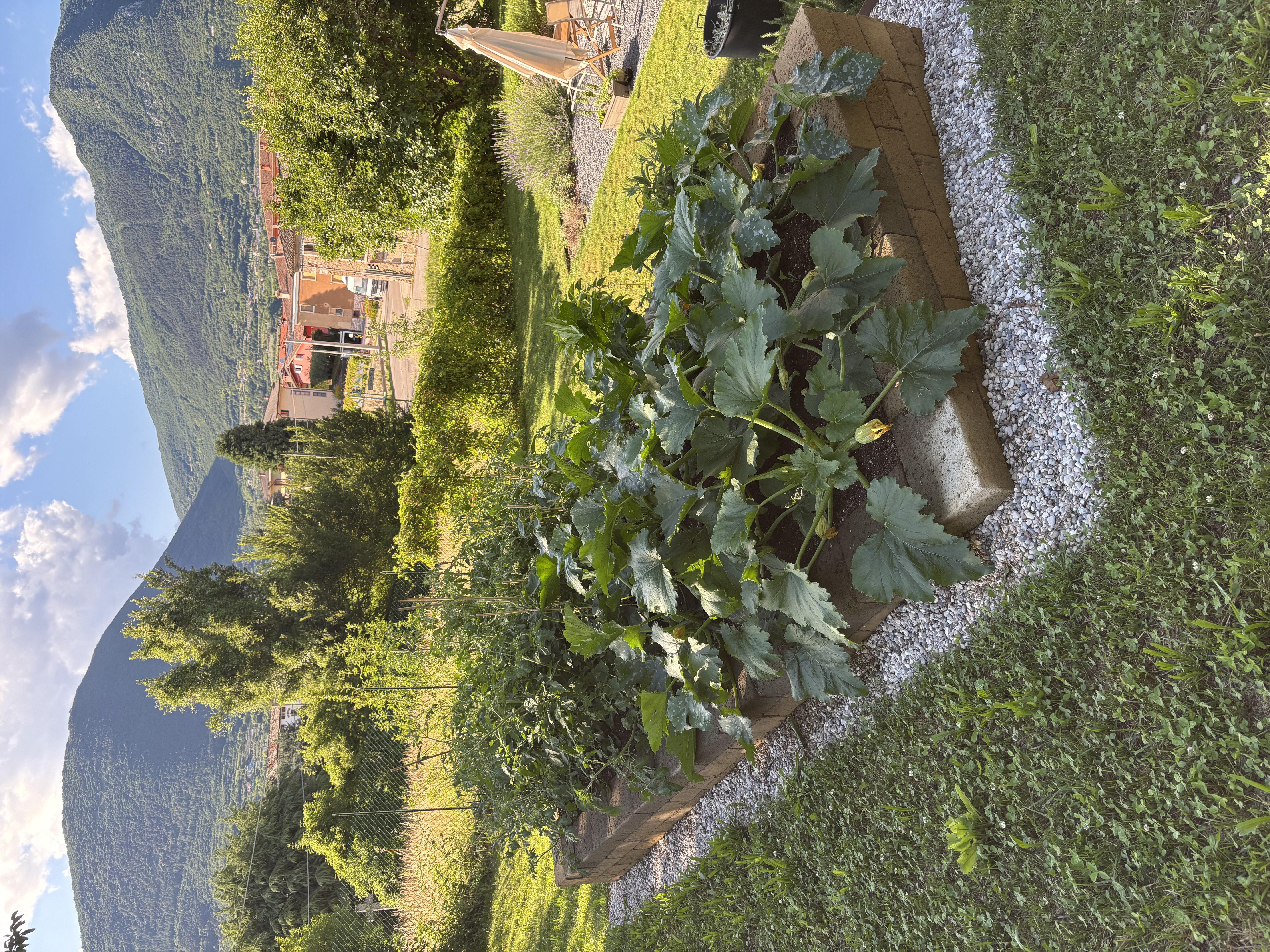 Orto rialzato realizzato da TreeValle a Lago di Garda